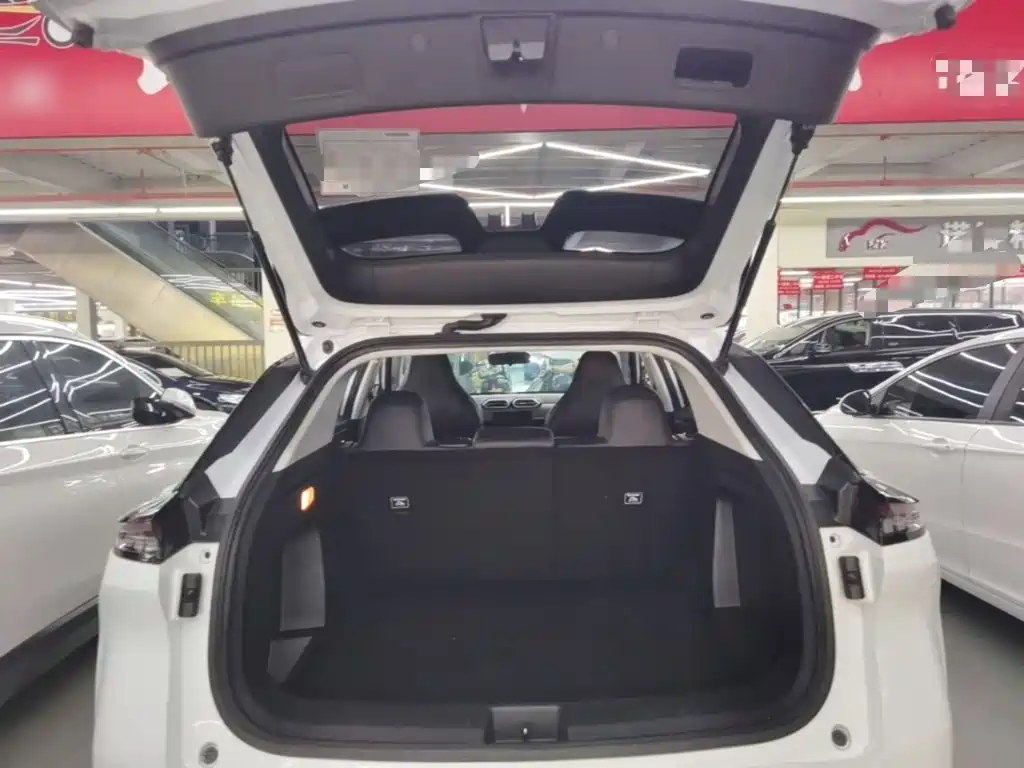 Dongfeng Aeolus SKY EV01 2024 2024 445km PRO
