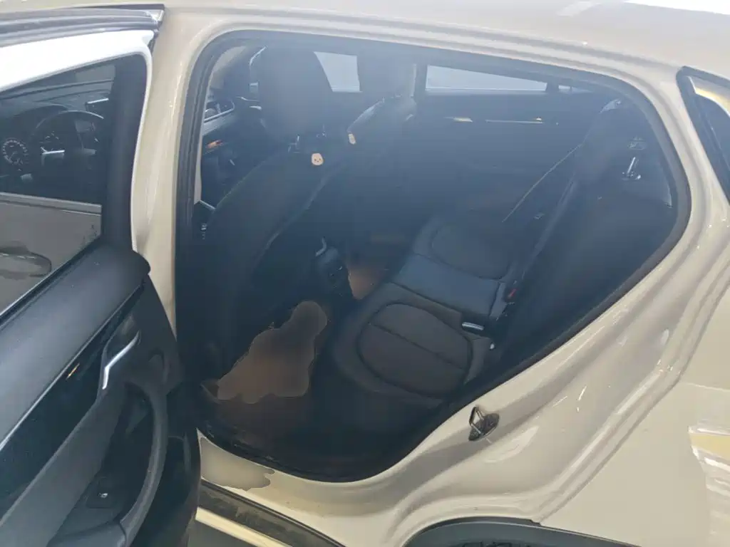 BMW X2 (Import) 2019 2019 sDrive25i Leading M Off-Road Package China VI