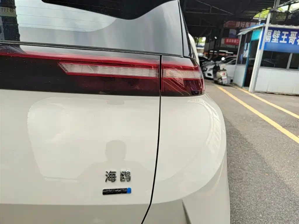 BYD Seagull 2025 Smart Drive Edition 305km Freedom Version фото 8