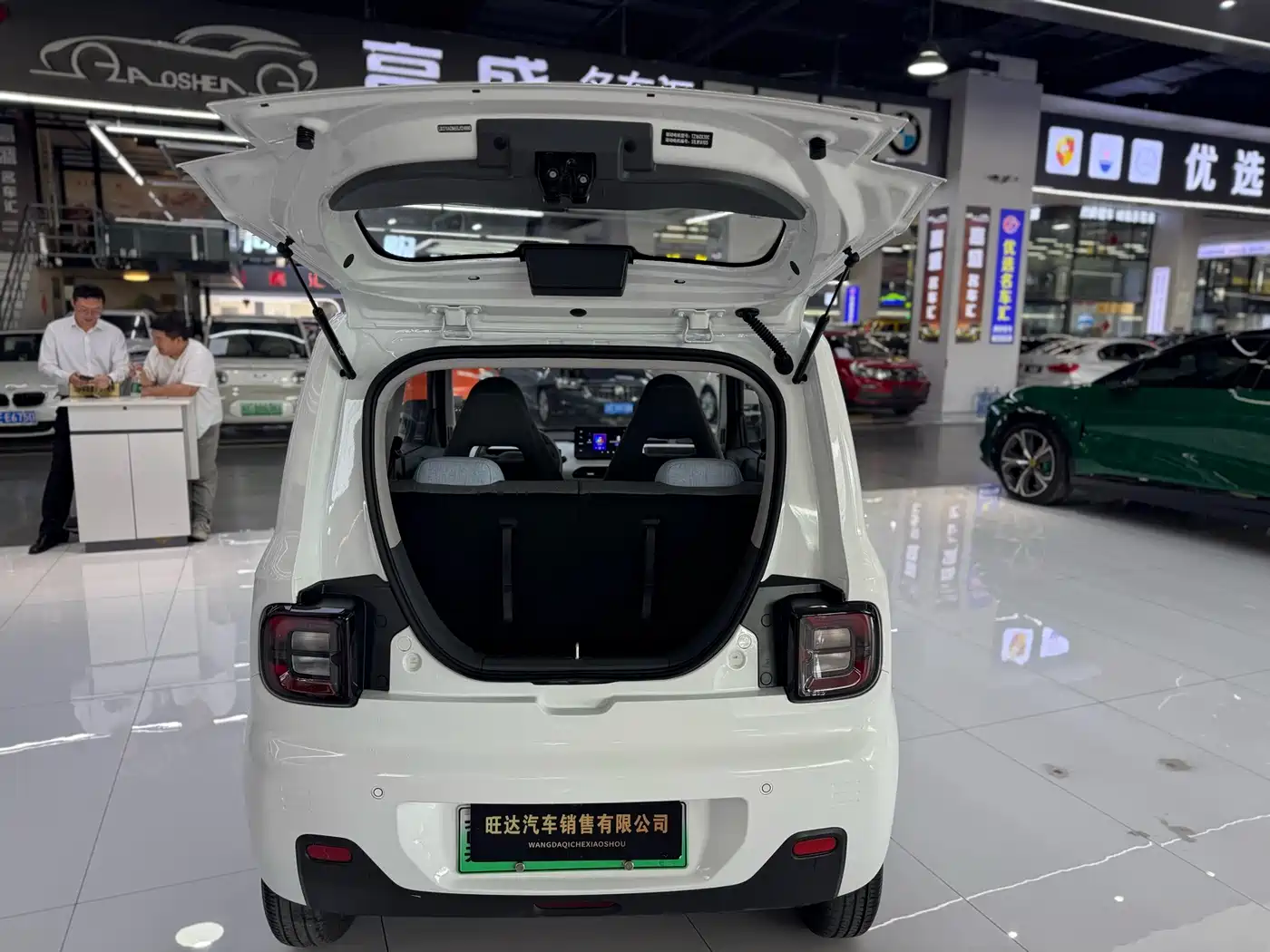 Geely Galaxy Panda 2025 Panda mini 210km Vitality Bear фото 13