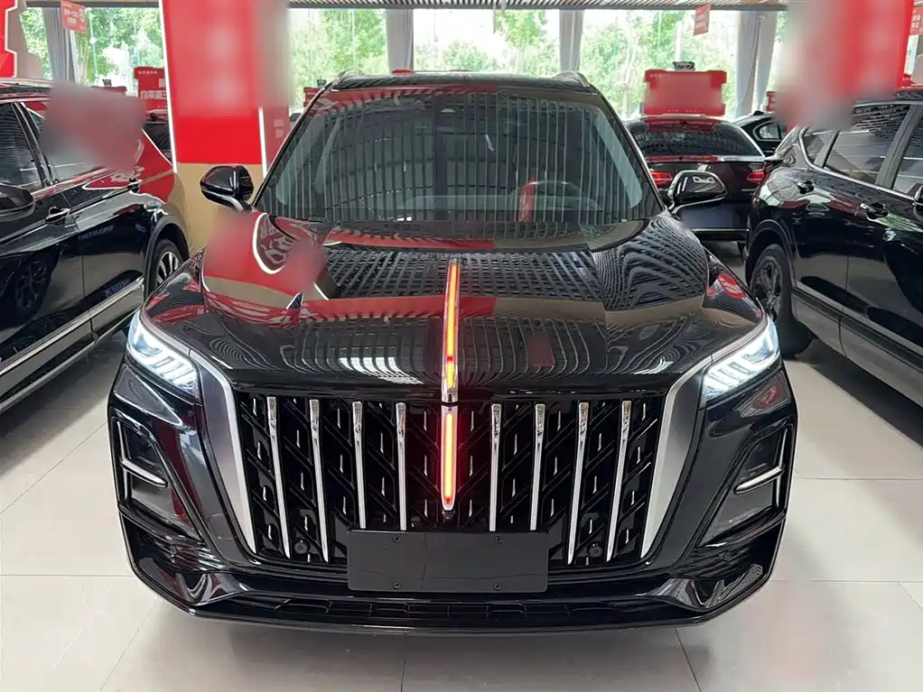Hongqi HS5 2023 2.0T Flag Enjoy Pro Edition фото 10