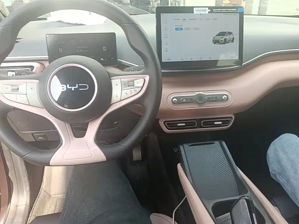 BYD Seagull 2025 Smart Drive Edition 305km Vitality Version фото 10