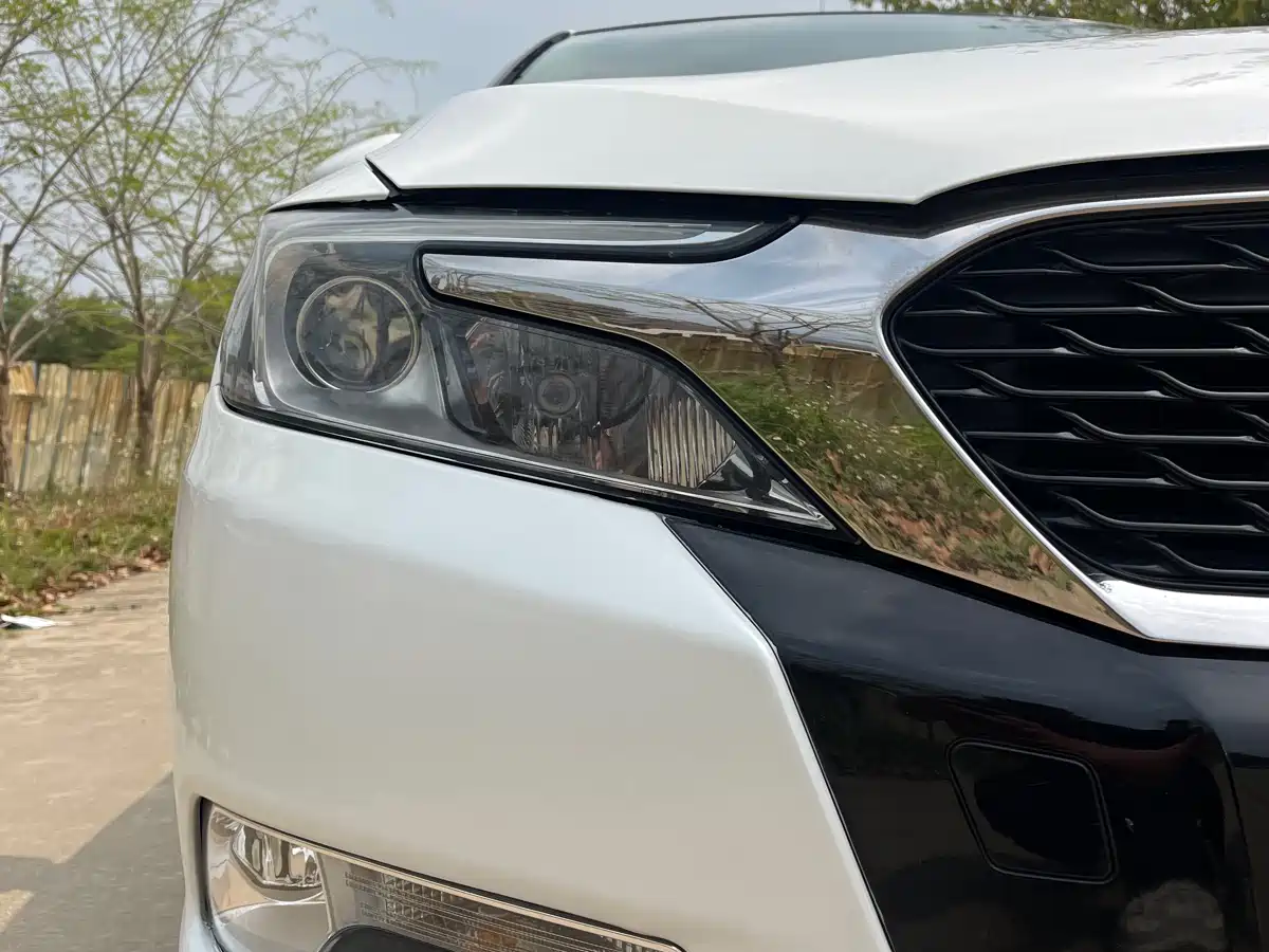Фото 4 - DS 5LS