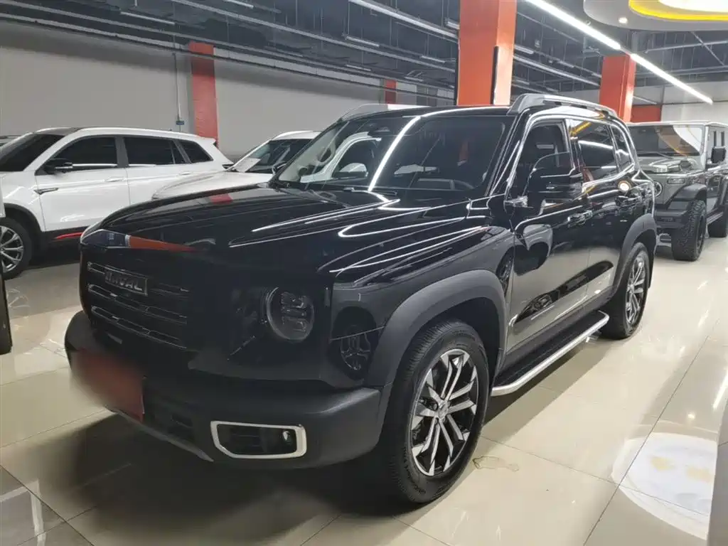 Haval Big Dog 2022 1.5T DCT FWD Border Collie Edition
