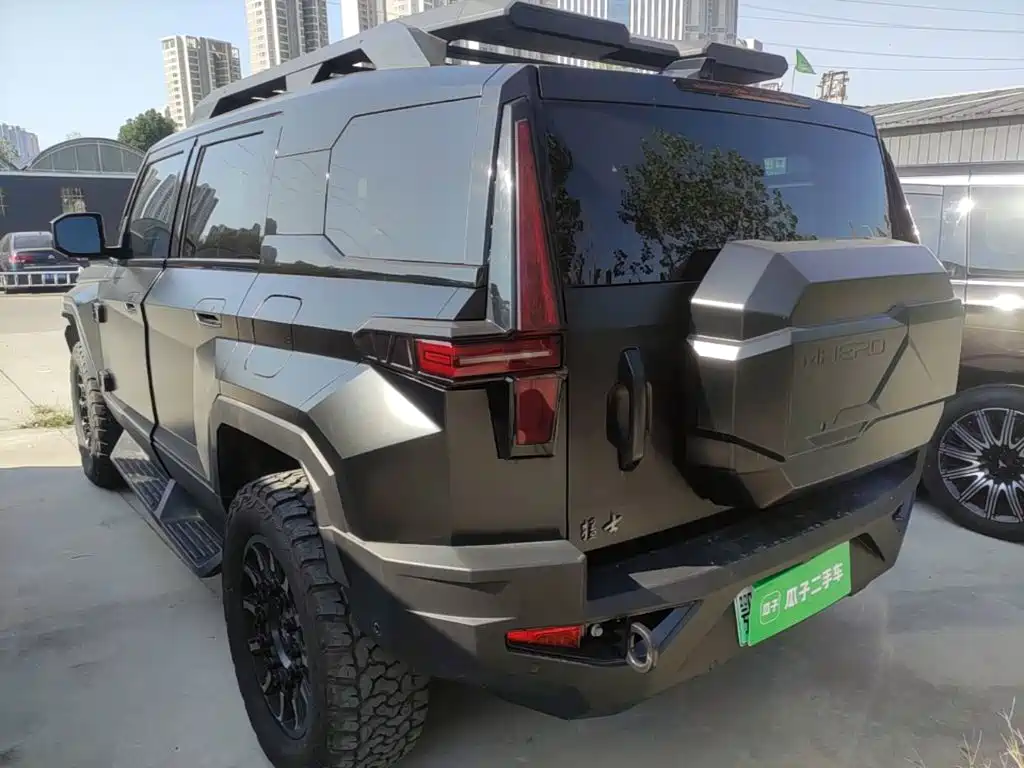 2025 Mengshi 917