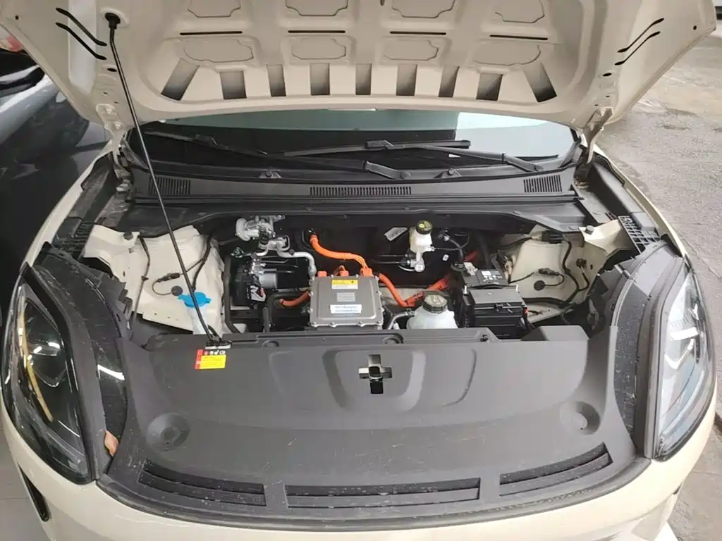 Фото 20 - Wuling Motors Wuling Bingo S