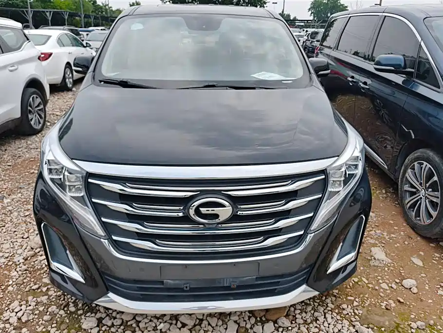 GAC Trumpchi Trumpchi M8 2020 Pilot 390T Prestige Edition фото 2