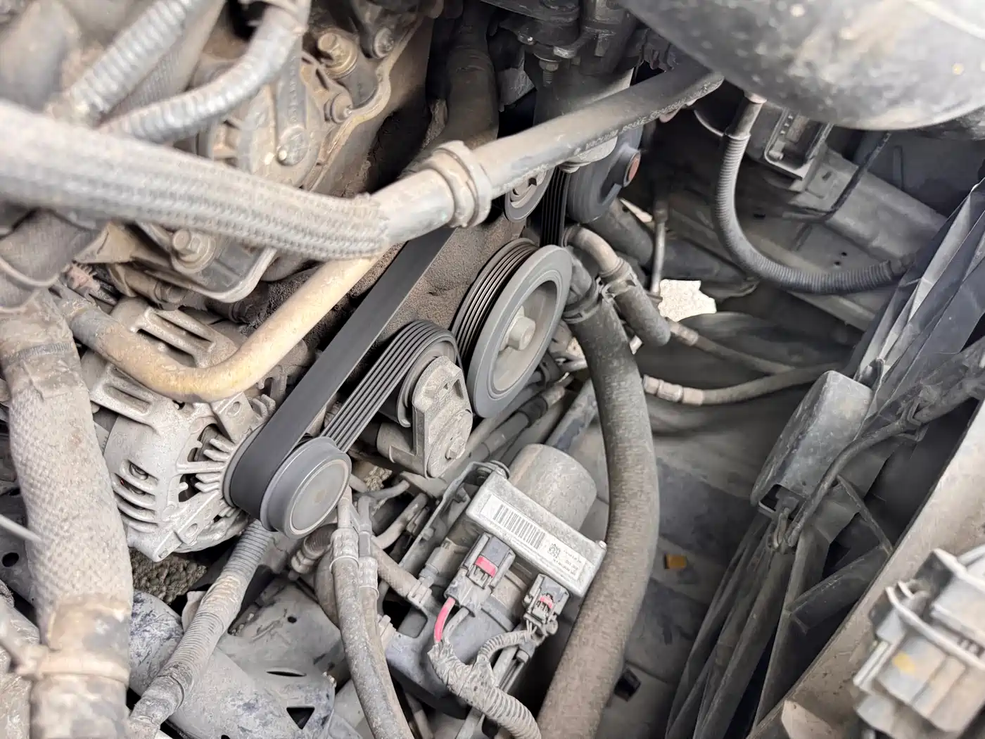 Фото 29 - Jeep Grand Cherokee (Import)