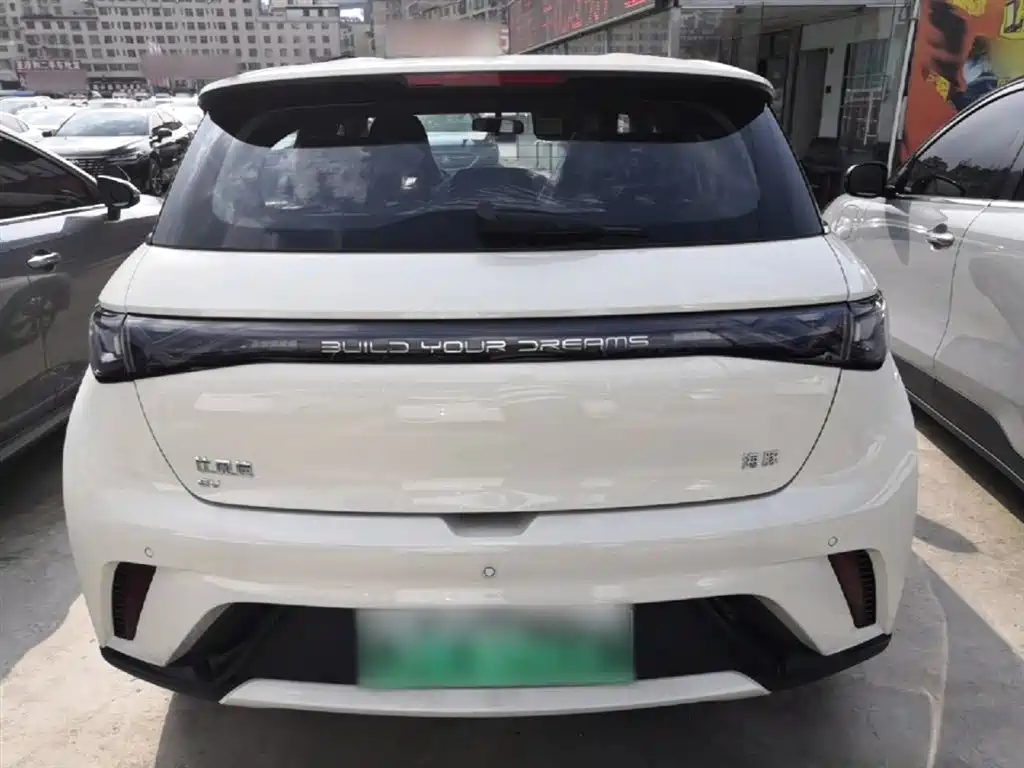 BYD Dolphin 2025 420km Freedom Edition фото 6
