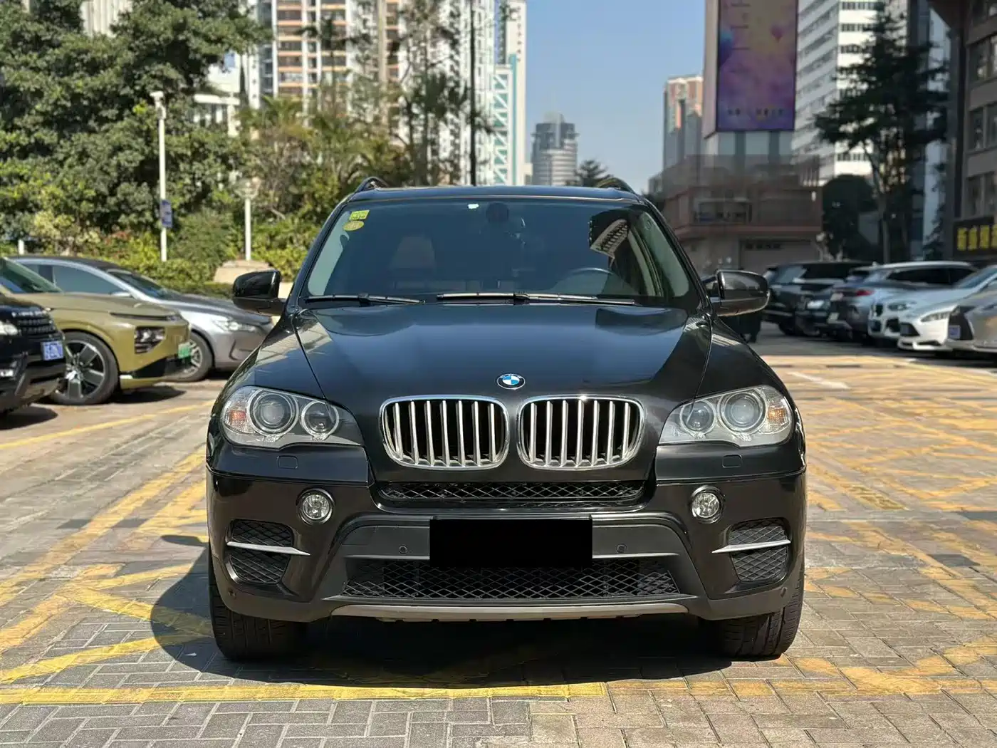 BMW X5 (Import) 2011 xDrive35i Leading Edition фото 2