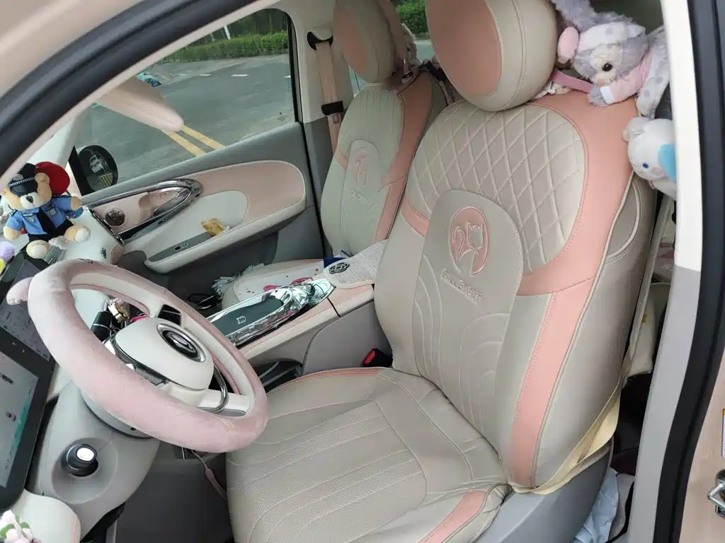 Ora Ballet Cat 2023 2023 401km Premium Model