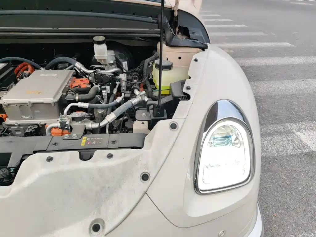 Ora Ballet Cat 2023 2023 401km Premium Model