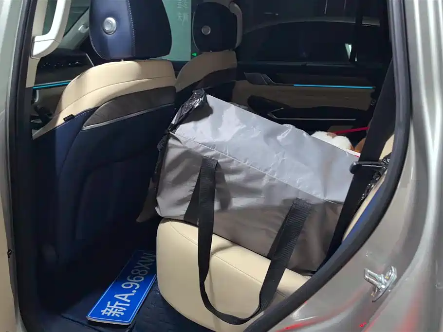 Tank 500 2022 3.0T Premium Custom Edition 5-Seater фото 11
