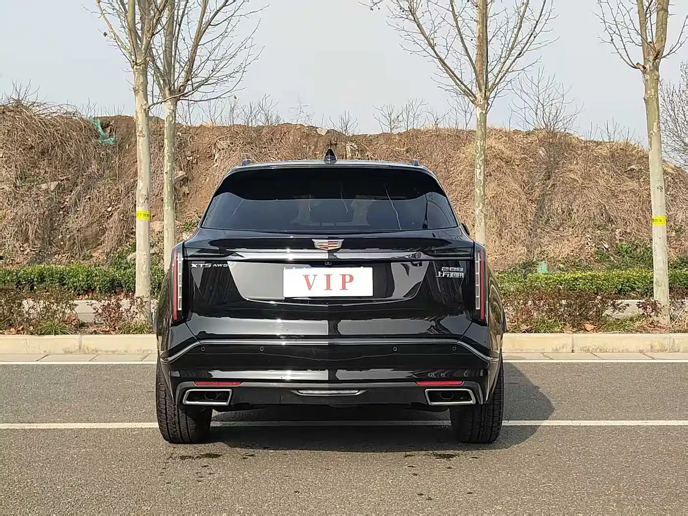 Cadillac XT5 2025 2.0T Luxury фото 8