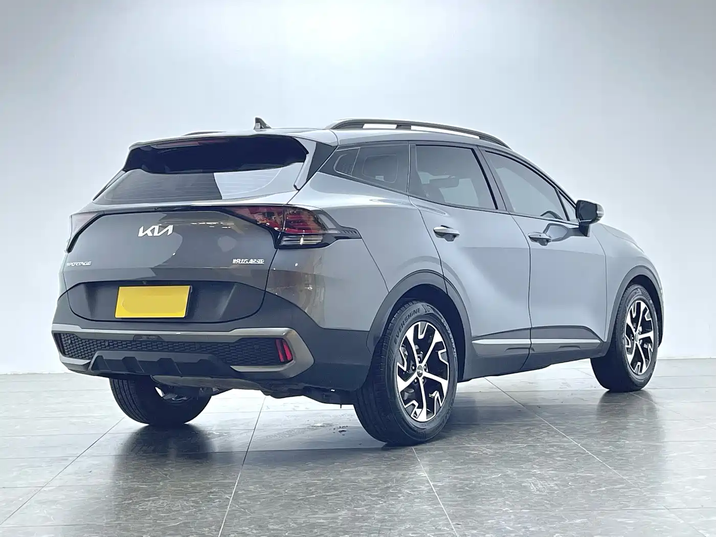 KIA LION PLATINUM EXPANDS THE WORLD