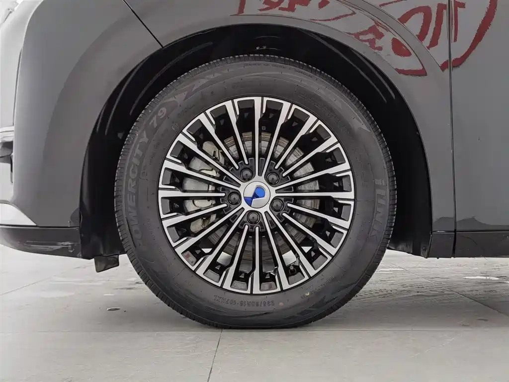 Denza D9 2024 DM-i 980 AWD Prestige фото 17