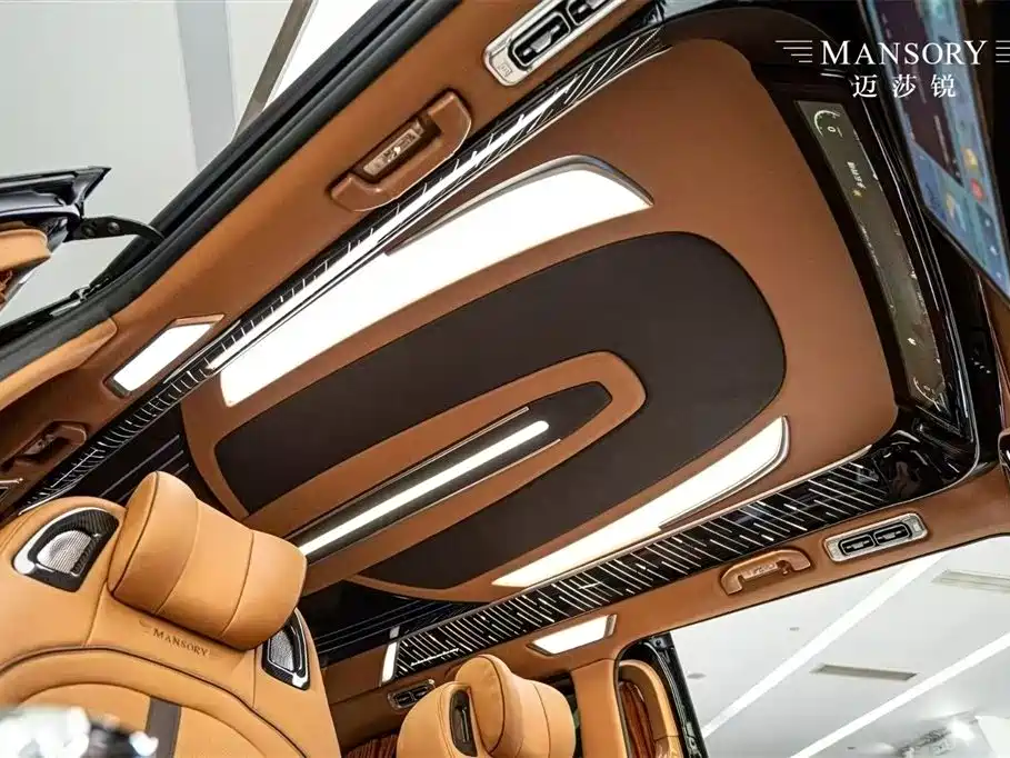 Фото 13 - Mansory V-Class
