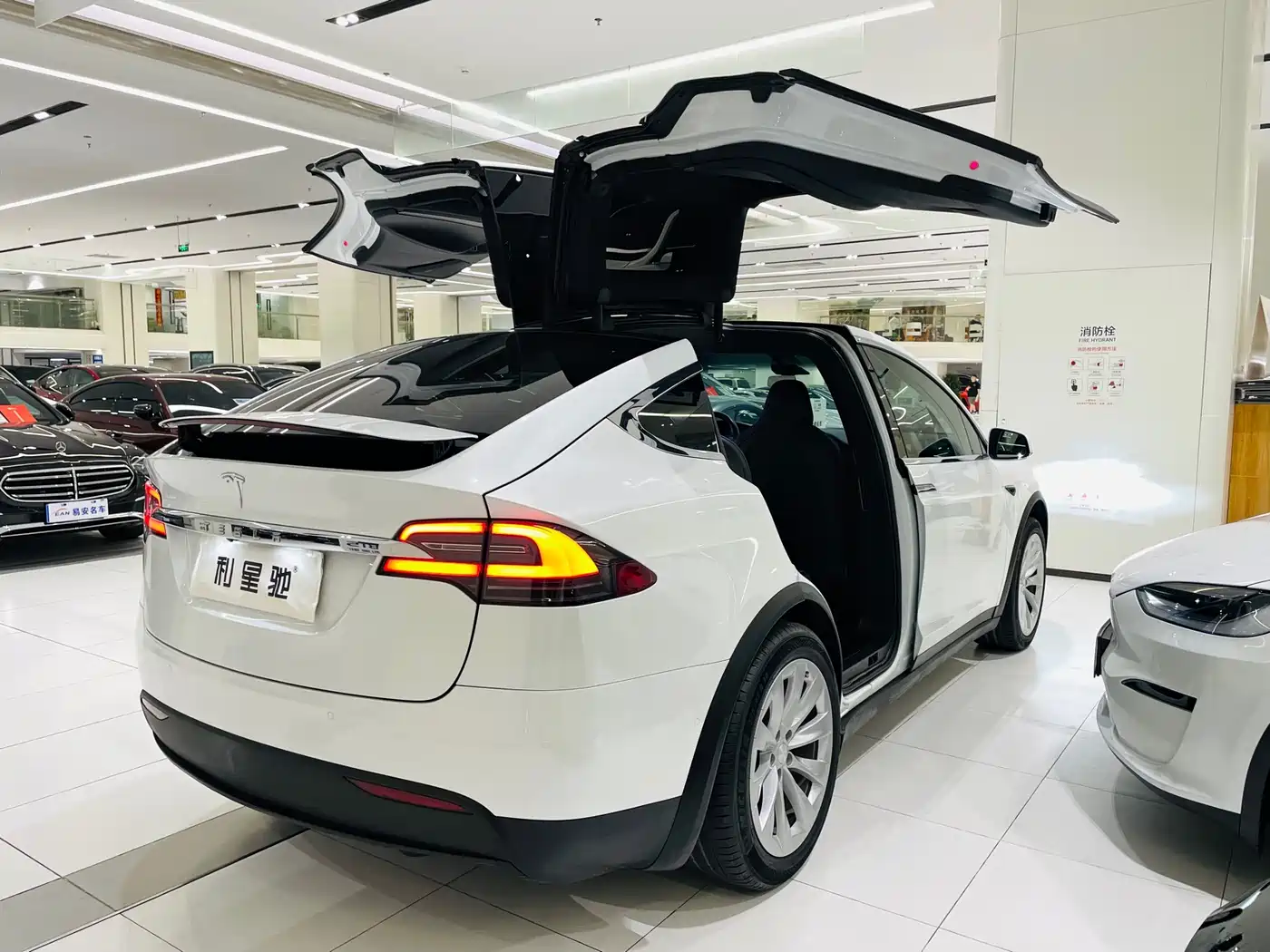 TESLA MODEL X
