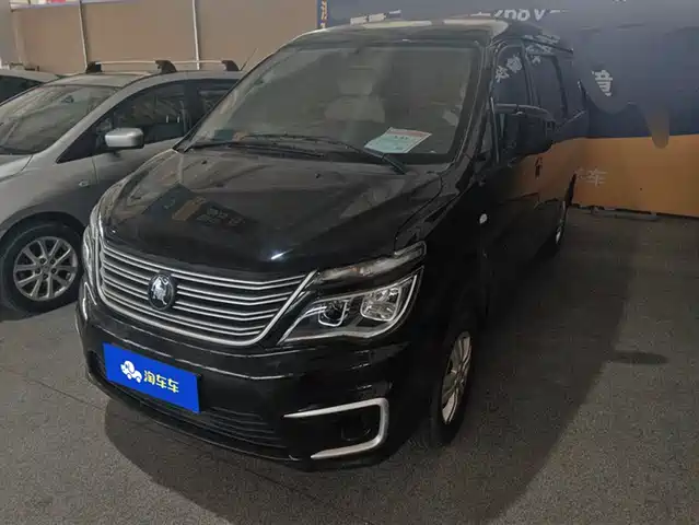 dongfeng lingzhi
