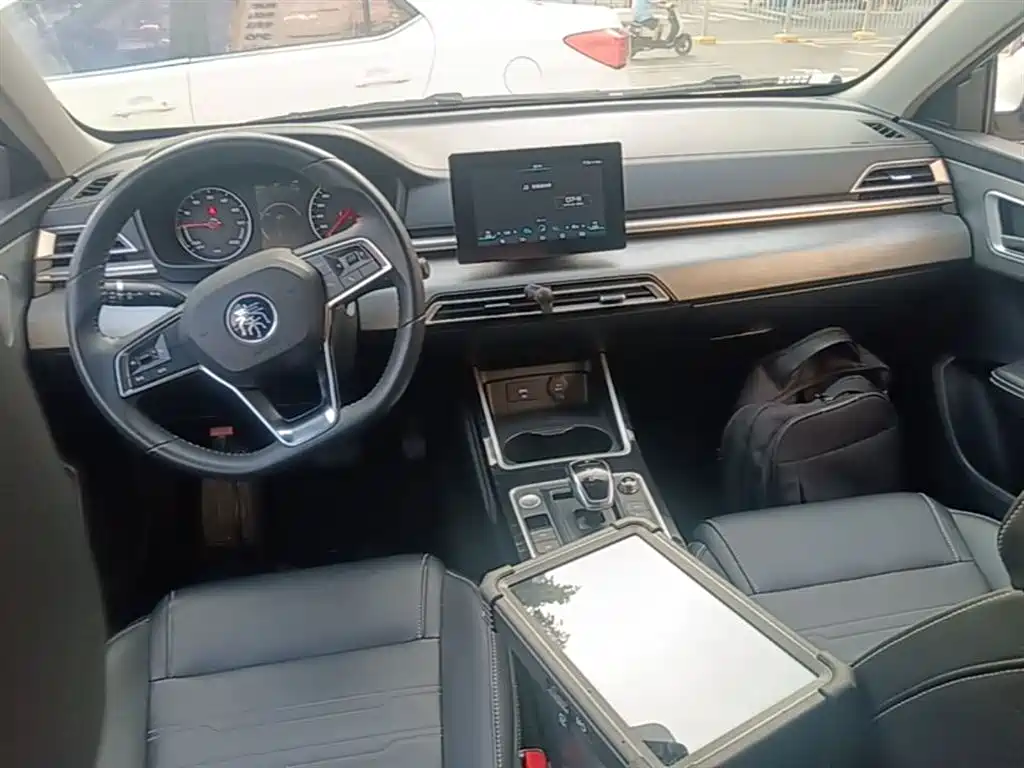 BYD Qin New Energy 2019 Long Range Luxury Edition фото 10
