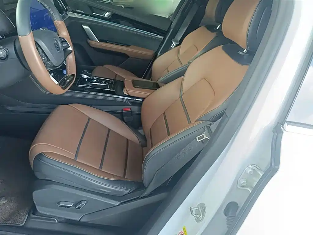 BYD Tang New Energy 2021 DM 2.0T AWD High Performance Premium фото 15