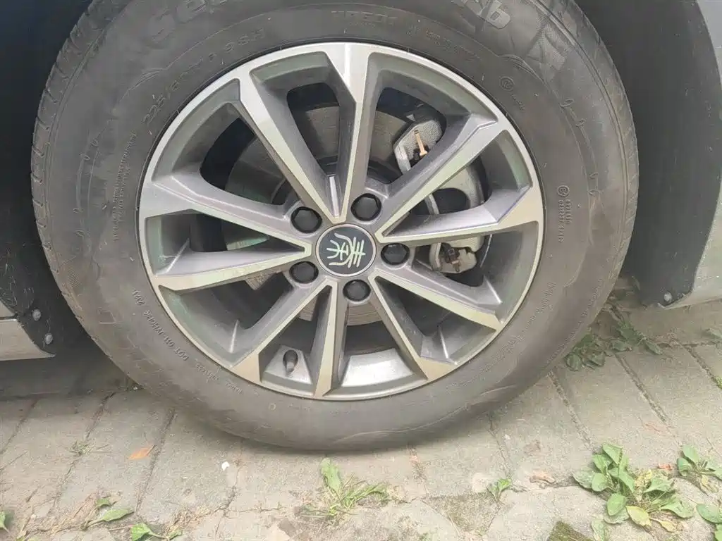 BYD Qin PLUS 2024 Glory Edition DM-i 55KM Leading фото 25