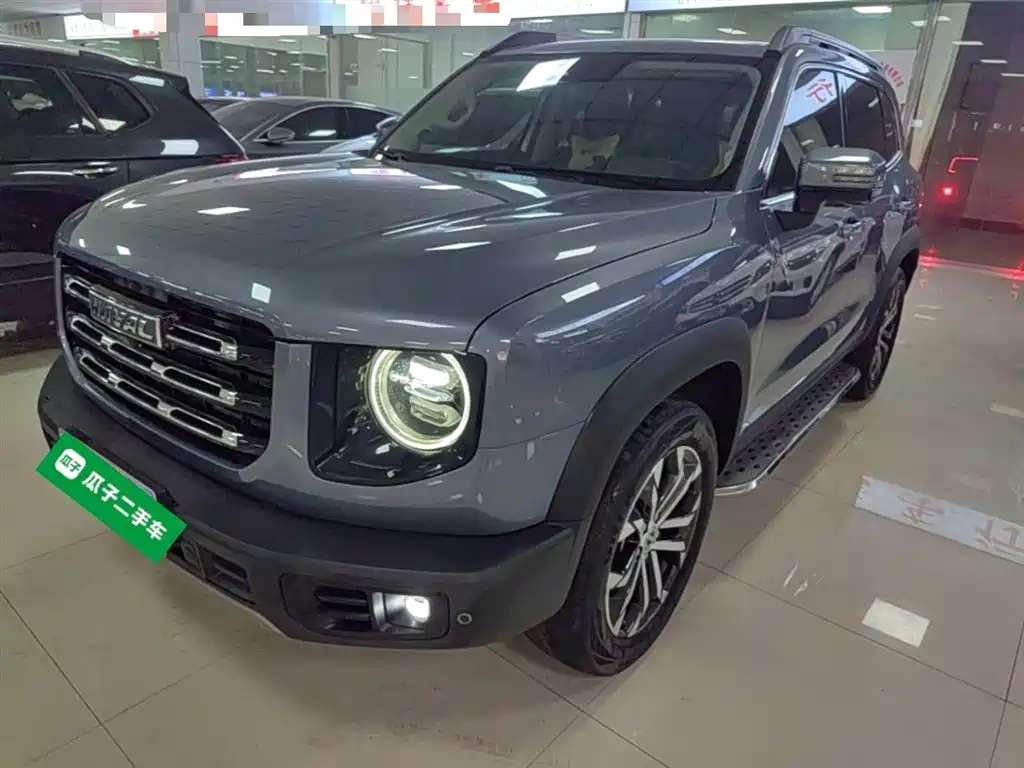 Haval Big Dog 2021 1.5T DCT 2WD Border Collie Edition