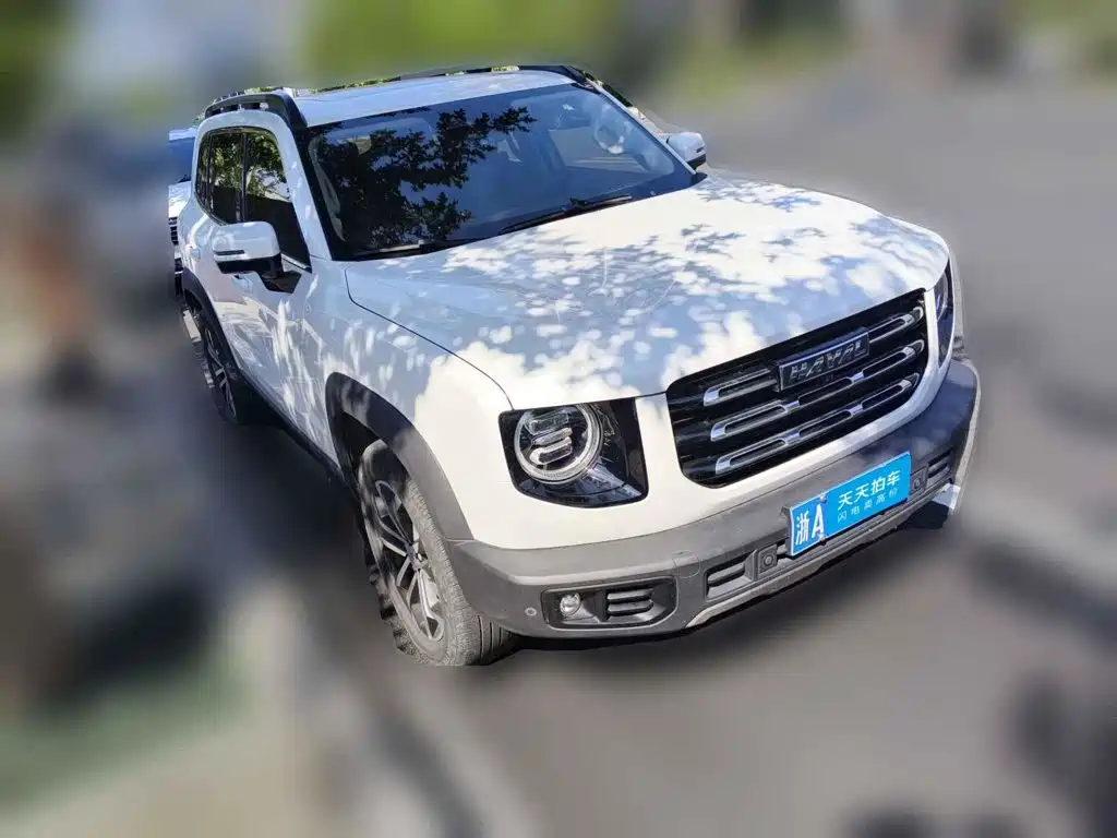 Haval Dargo 2021 2021 1.5T DCT 2WD Border Collie - Wangcai Edition
