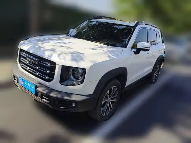  Haval Haval Big Dog 2021 1.5T DCT 2WD Border Collie - Wangcai Edition