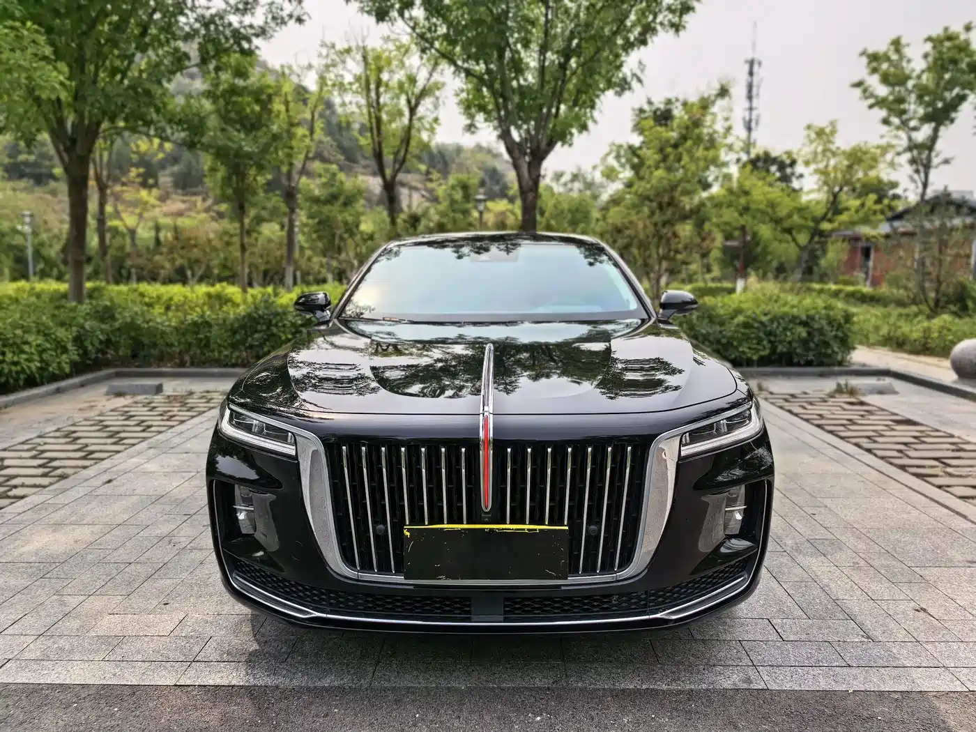 Фото 2 - Hongqi H9