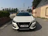 Фото 2 - Nissan Sylphy