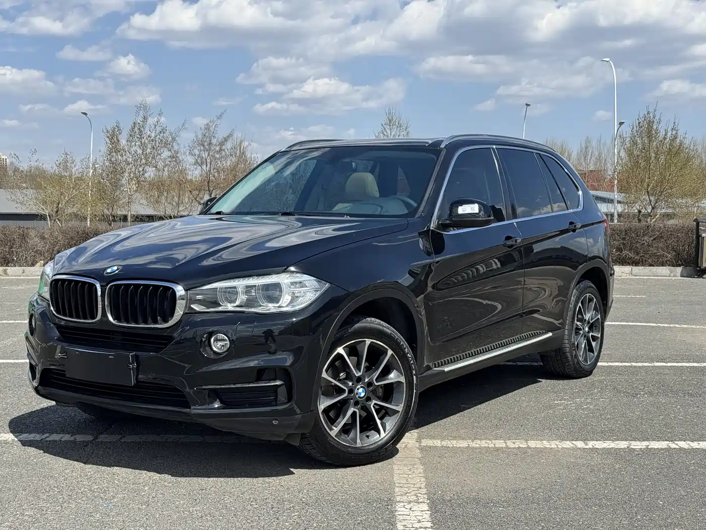 BMW X5 (Import) 2014 xDrive35i Luxury фото 18