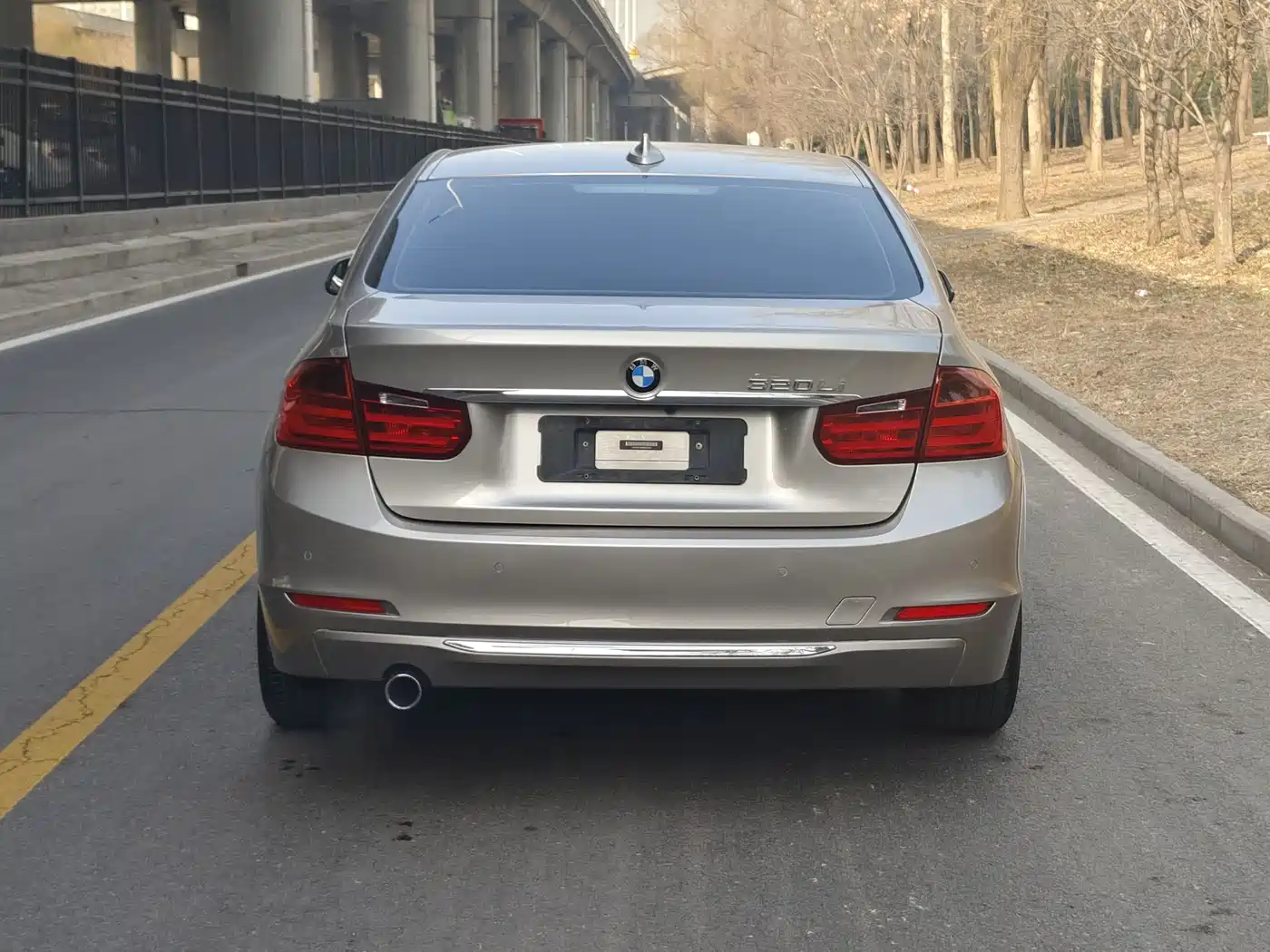 BMW 3 Series 2015 320Li Super Joy Fashion фото 4