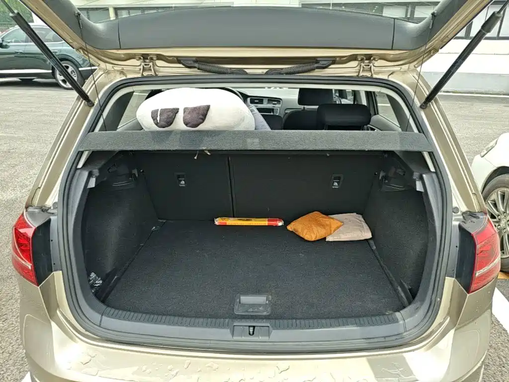 Фото 9 - Volkswagen Golf