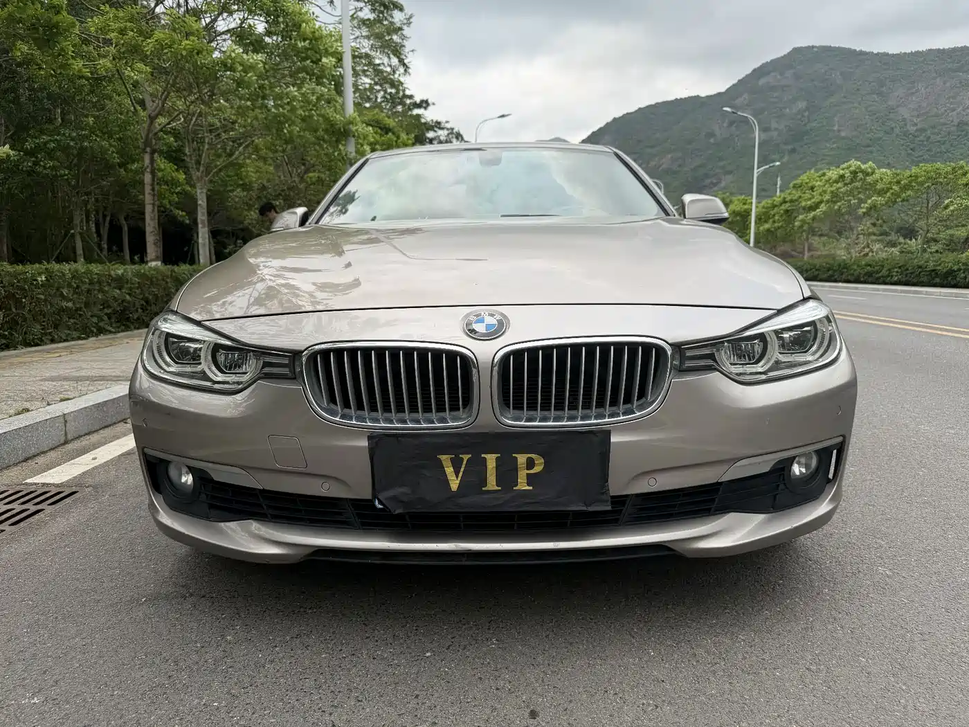 BMW 3 Series 2018 318Li фото 2