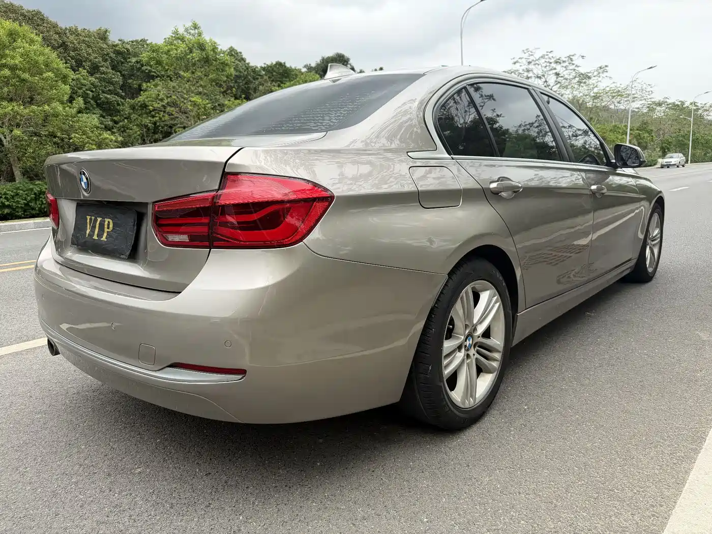 BMW 3 Series 2018 318Li фото 6