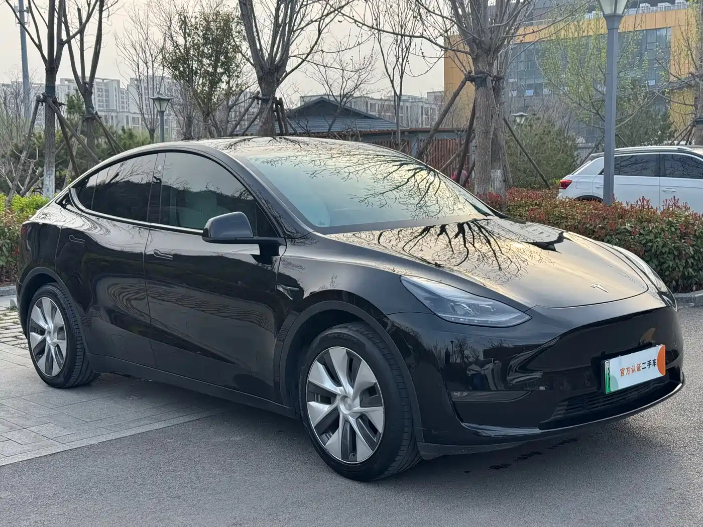 TESLA MODEL Y