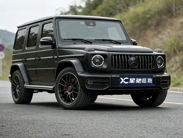 MERCEDES-BENZ G CLASS AMG
