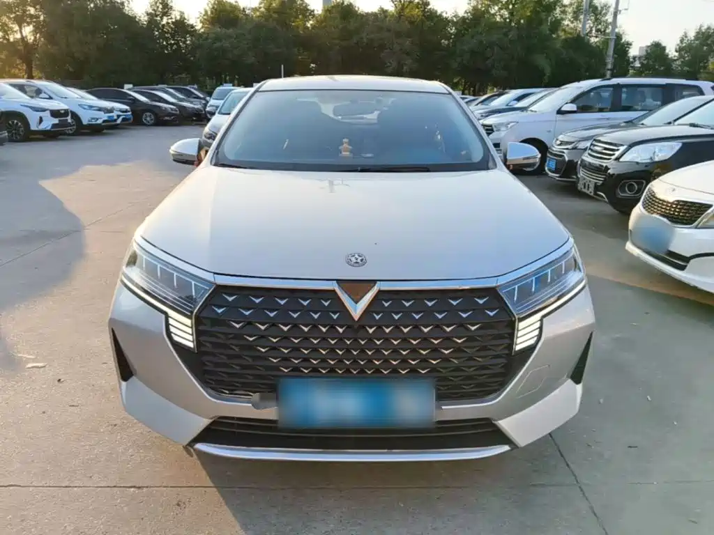 Venucia D60 2021 2021 PLUS 1.6L XL CVT Joy Leader Edition