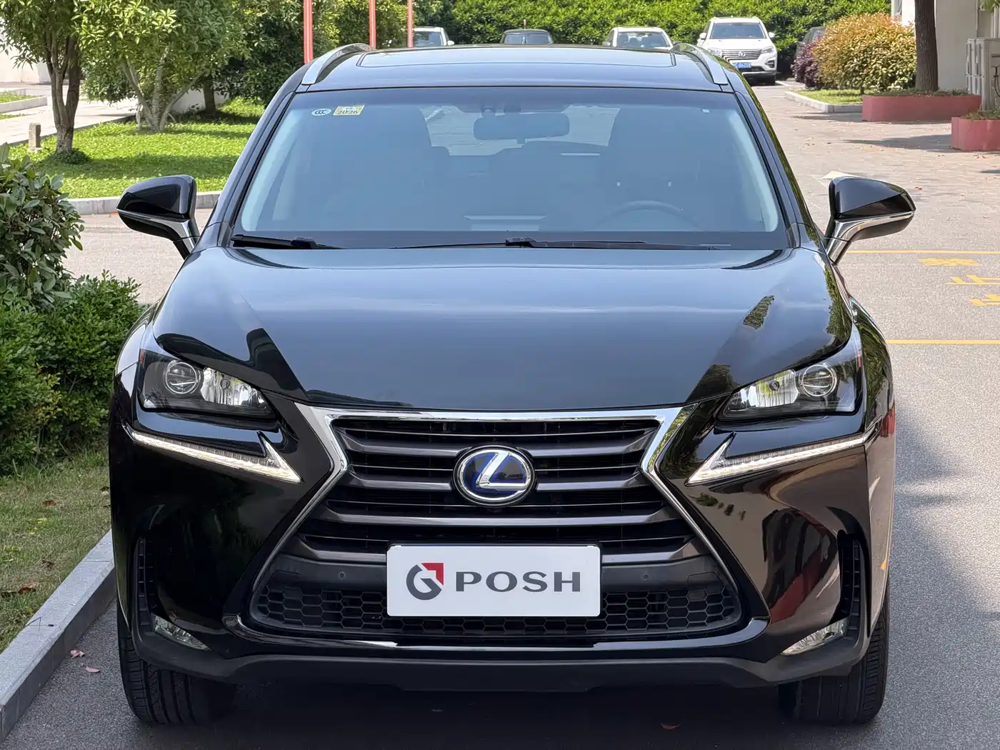 Lexus NX 2015 300h FWD Luxury фото 2