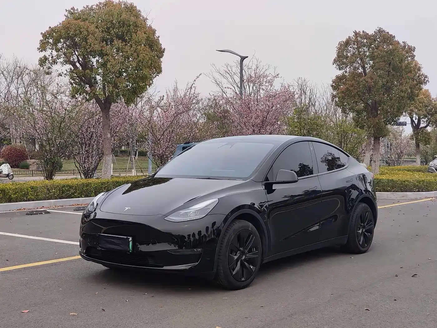 TESLA MODEL Y