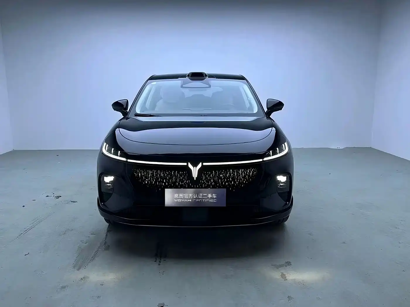 Voyah Auto Voyah Zhiyin 2025 Base фото 2