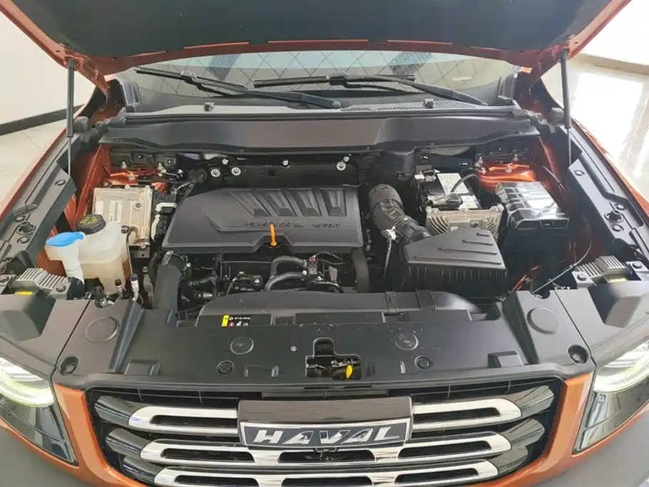 Haval Big Dog 2021 1.5T DCT 2WD Malinois Edition фото 10