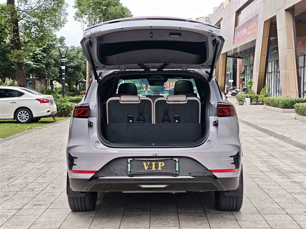 BYD Tang New Energy 2025 Smart Driving Edition DM-i 115KM Flagship фото 14