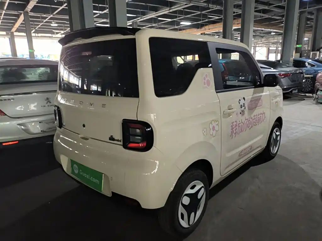 Geely Galaxy Panda 2025 Panda mini 210km Vitality Bear фото 7