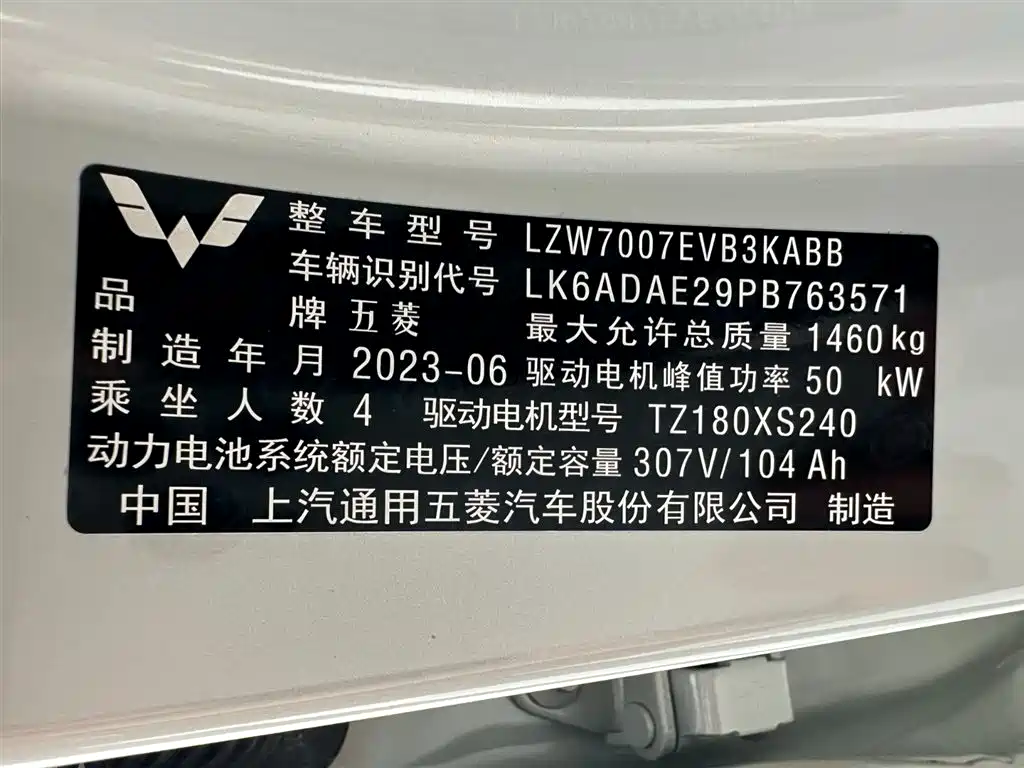  Wuling Motors Wuling Bingo 2023 Model 333km Joy+ Version 23