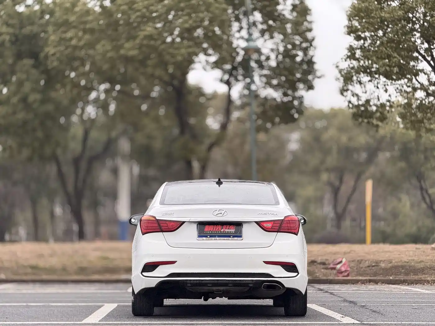 HYUNDAI NAME PICTURE