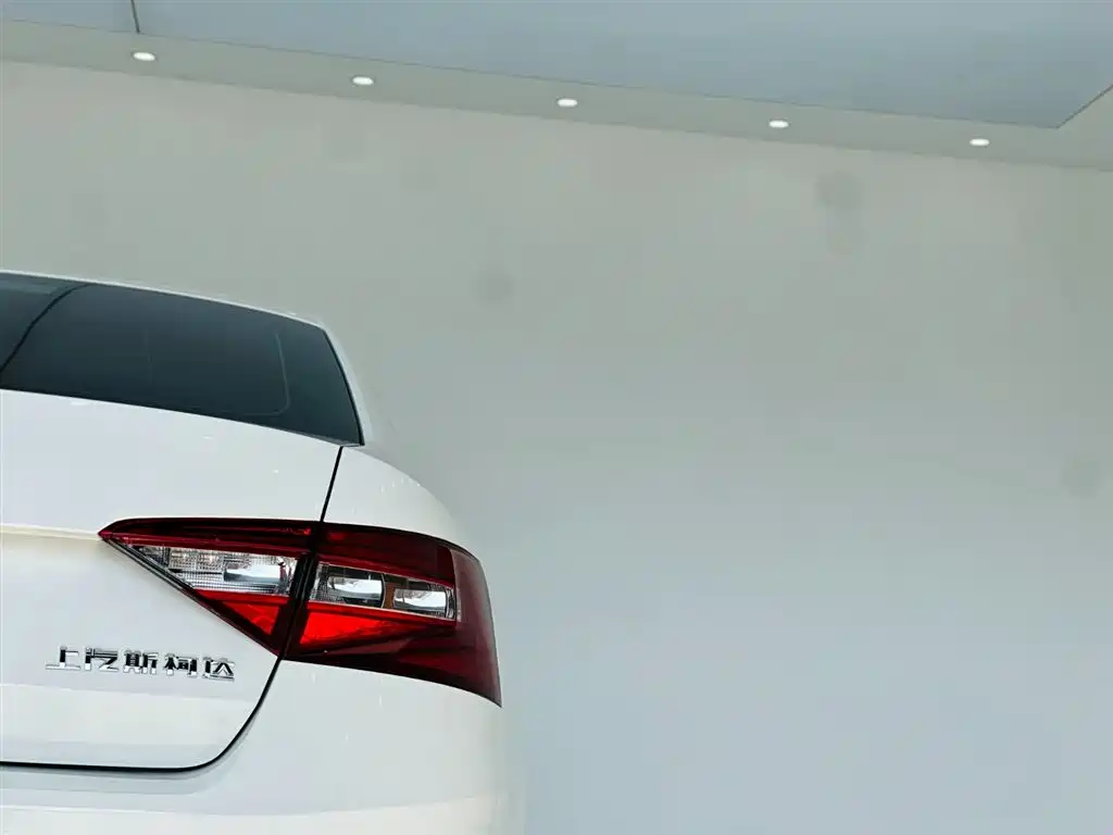 Škoda Superb 2016 TSI330 DSG Pioneer Edition фото 11