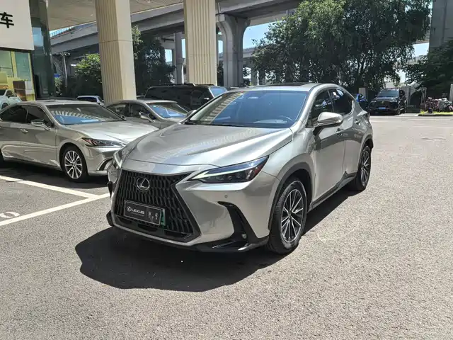  Lexus Lexus NX New Energy 2022 400h+ Joy Edition