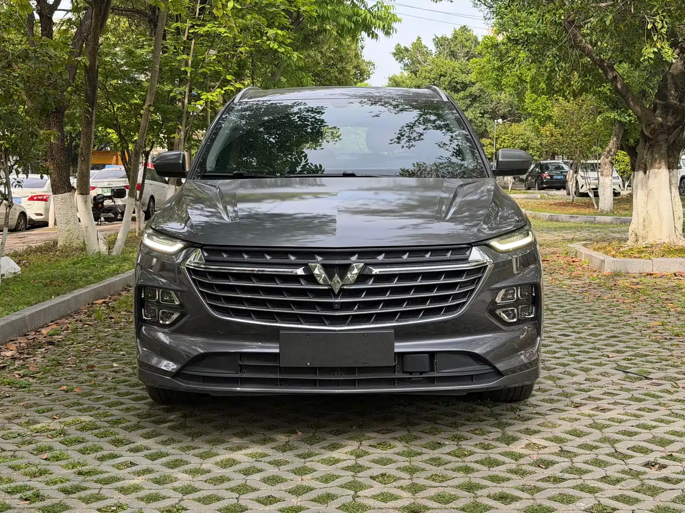 Wuling Motors Wuling Victory 2021 2020 1.5T CVT Flagship